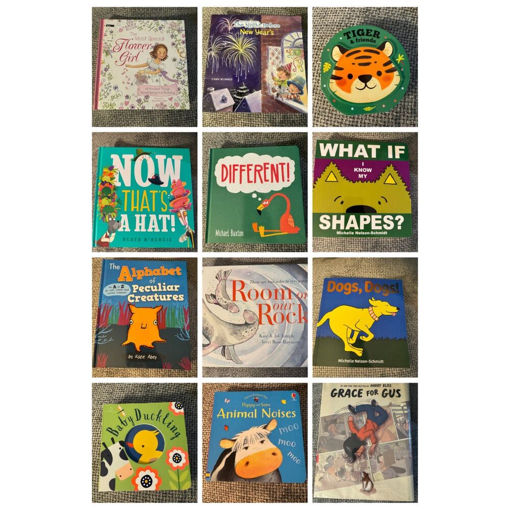 Huge Toddler & Baby First Library Book Bundle Lot (12 Books) Hardcover Board